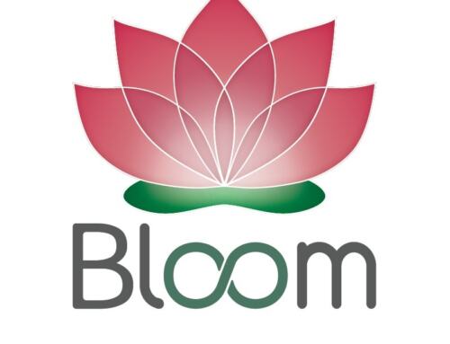 Bloom Edtech propõe moldar o futuro da educação harmonizando personalização e massificação